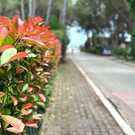 By The Apartament Golem (Tirana)