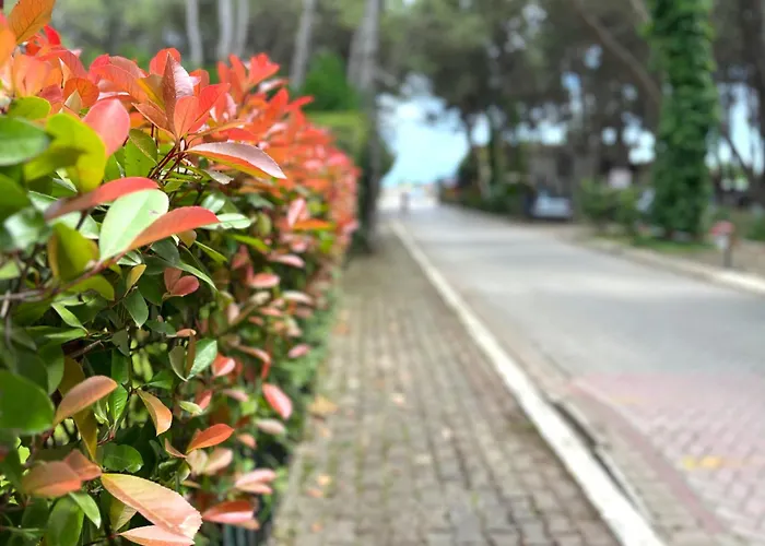 By The Apartment Golem (Tirana)