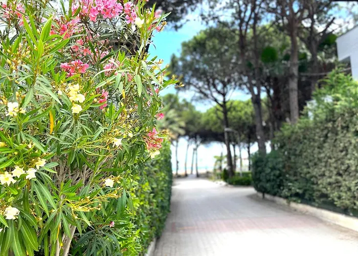 By The Golem (Tirana)